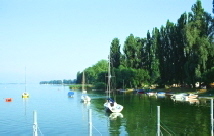 Iznang - Blick am Untersee in Richtung Horn